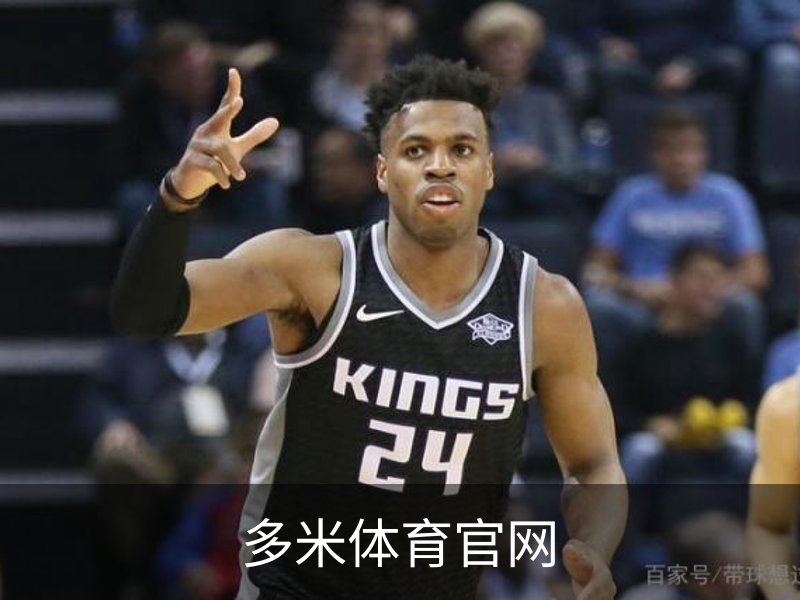 多米体育官网介绍